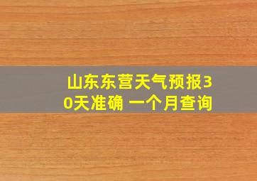 山东东营天气预报30天准确 一个月查询